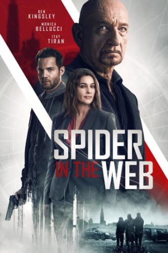 Старые шпионские игры / Spider in the Web (2019)