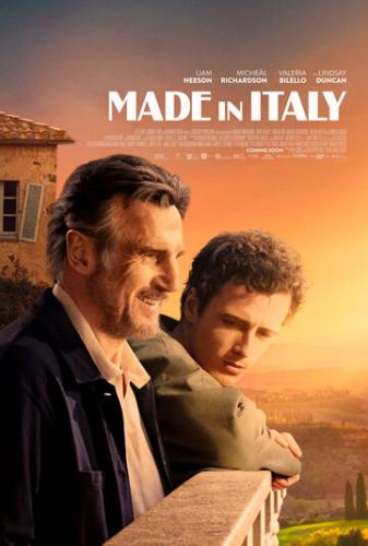 Сделано в Италии / Made in Italy (2020)