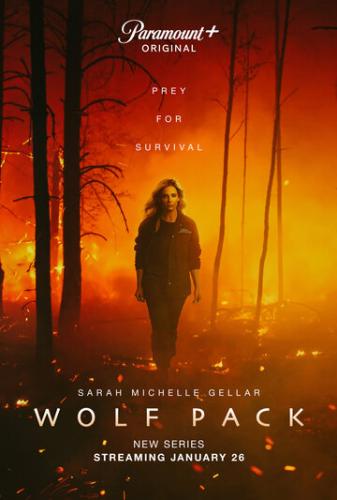 Фильм Волчья стая / Wolf Pack (2023)